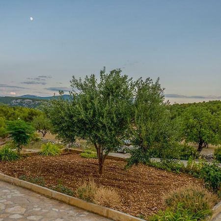Apartmani Lana Skradin Εξωτερικό φωτογραφία